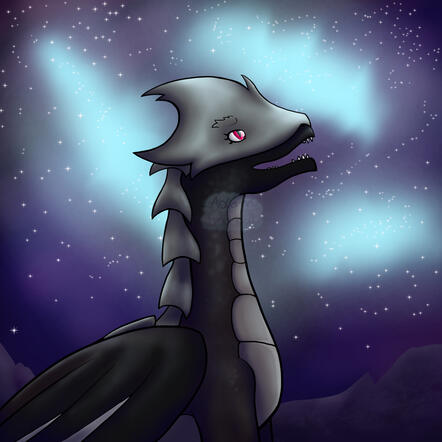 Star Slicer Star Slicer