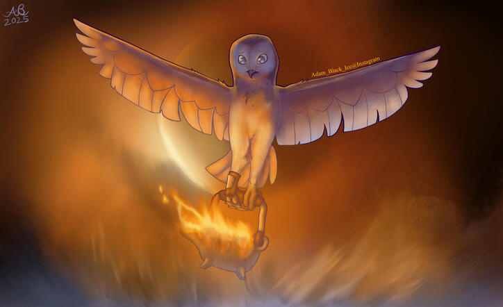 Art Fight 2025 Art Fight 2025