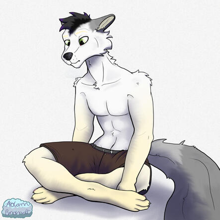 Warfare Scaled Down to Fit in Box