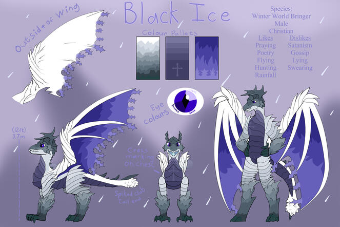 Black Ice Reference Sheet Black Ice Reference Sheet