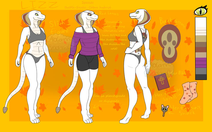 Lizz Reference Sheet Scaled Down to Fit in Box
